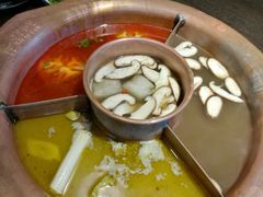 -老诚一锅羊蝎子(黄寺大街店)