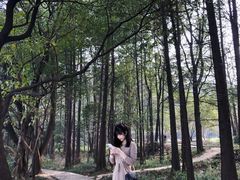 -东湖落雁景区