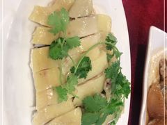 -金苑海鲜酒家(新港中路店)