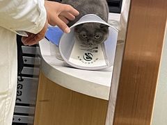 -瑞派宠物医院·中兽医专科(中央商城分院)