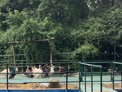 -南昌动物园