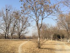 -北运河水利风景区