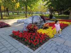 点击看大图 -大望京儿童游乐场