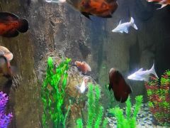 -多彩贵州城极地海洋世界