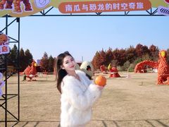 -荷兰花海