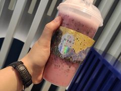 -野萃山·潮汕厚果汁(十亩地店)