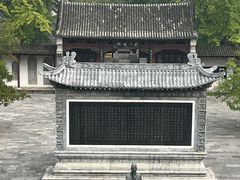 -花洲书院