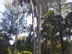 -北海市海滨公园