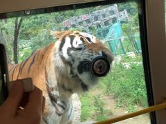 -栾川竹海野生动物园