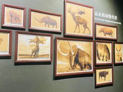 -大庆市博物馆
