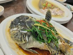 -长平肥姐白粥·海鲜打冷