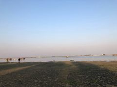 -北海金海湾红树林生态旅游区