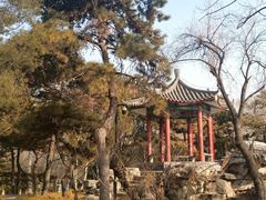 -丰台花园