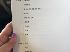 -新加坡航空公司(ION)