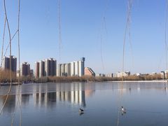 -莲花池公园