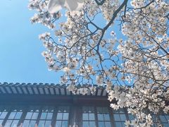 -虞山风景区