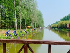 -黄海国家森林公园