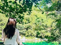 -石台牯牛降景区