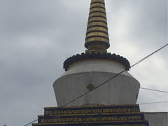 -塔尔寺-菩提树