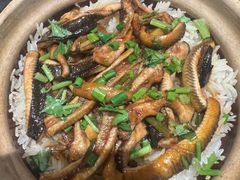-熠盛粤味·顺德桑拿鸡(永康路店)