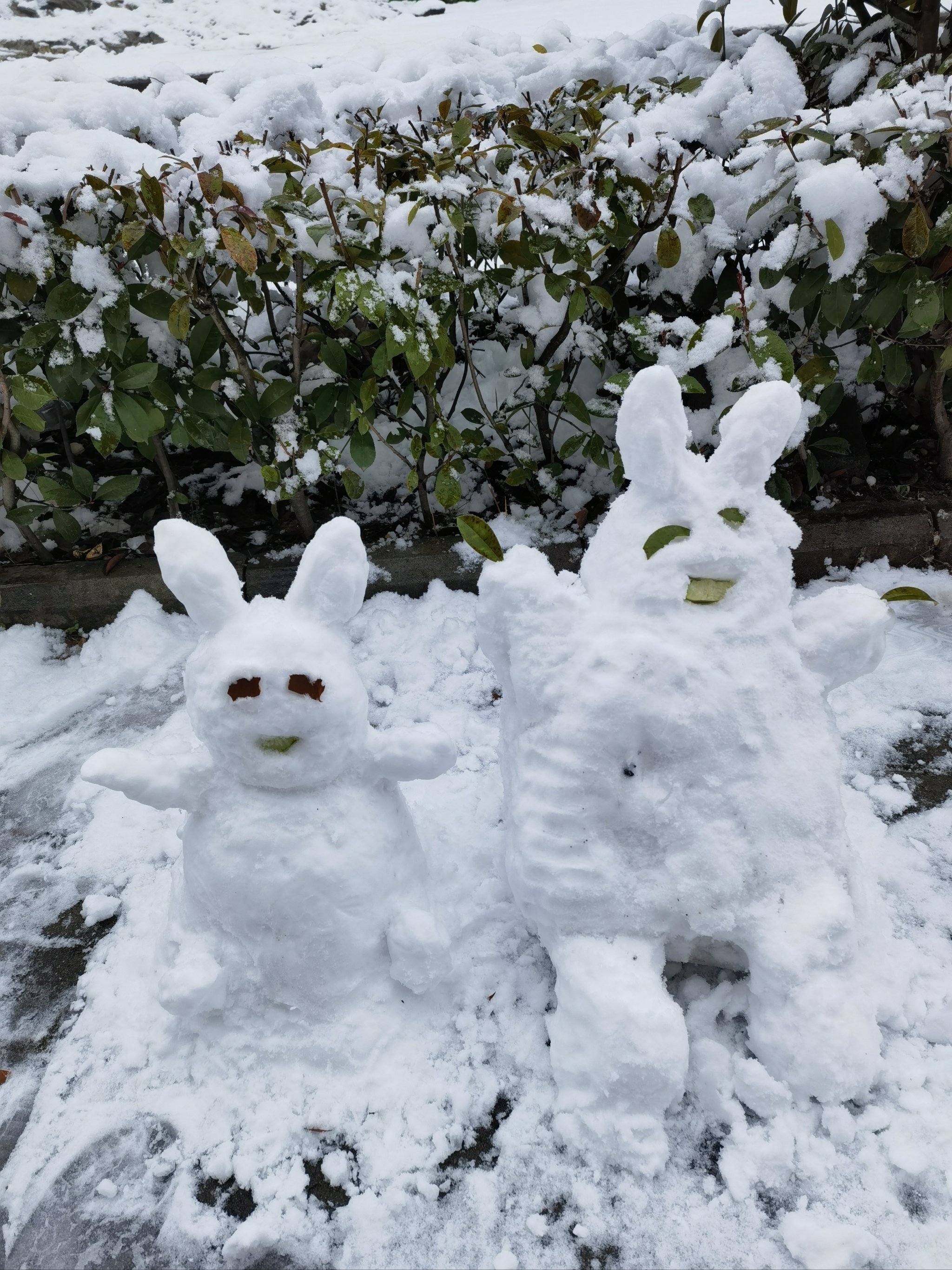 雪堆成猪的雪人图片图片