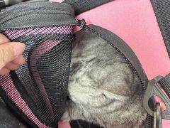 -萌兽医馆·犬猫专科·眼科中心·宠物医院(朝阳门分院)