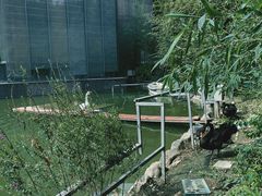 -春晖园度假酒店温泉