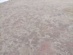 -龙寺生态园