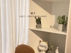 -More Fun猫咖 二十只万元加菲主题