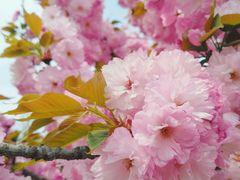 -山东大学(软件园校区)