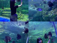 -龙谷湾旅游休闲度假区