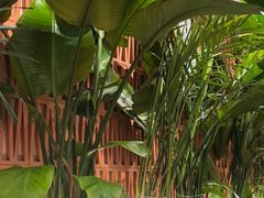 -云阿蛮云南生烫牛肉米线(奉贤路店)