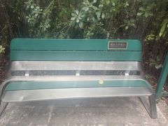 -北极阁公园