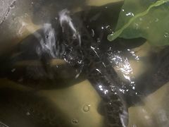 -金三可市井水煮鱼(金碧园店)