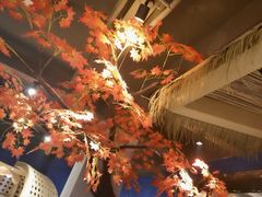-香坝坝鲜鱼火锅(春熙路店)