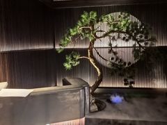 -大拙里·精致融合菜(沙湖桃源国际店)