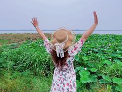 -七的湖·晚芳亭·阳澄湖农家菜·大闸蟹(莲花岛店)