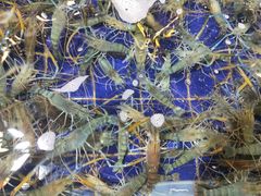 -79号渔船海鲜饭店(华强北店)