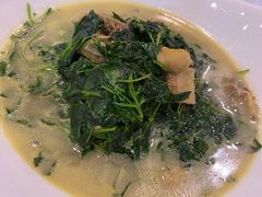 河蚌三芽菜-镇扬菜馆
