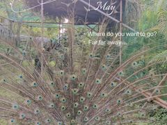 -厦门日月谷温泉渡假村