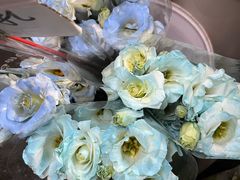 -循礼门鲜花花市(武汉循礼门店)