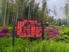 -宜兴龙背山森林公园