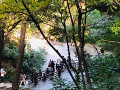 -北京西山国家森林公园