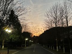 -浙江科技大学(小和山校区)