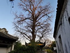 -惠山古镇·寄畅园