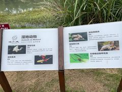 -桤木河湿地公园