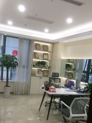 -碧莲盛·不剃发植发