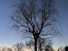 -北京西山国家森林公园