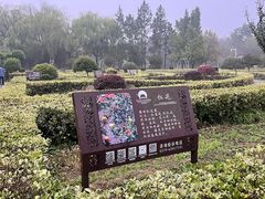 -洛阳市隋唐城遗址植物园