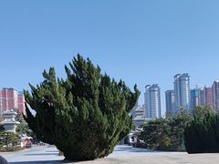 -卧龙岗文化园-南阳市汉画馆